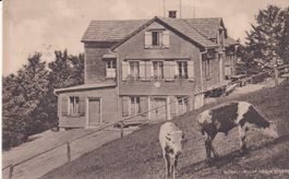 Hörnli - Kulm   ZH         um 1919