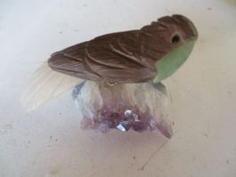 Vogel auf Stein