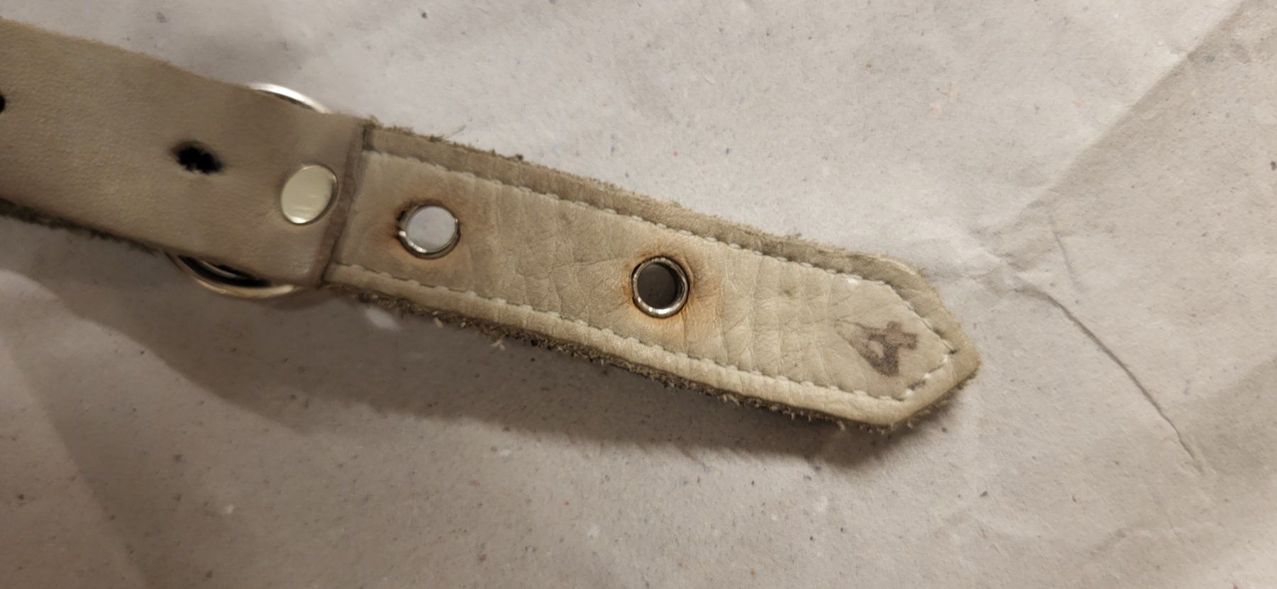 Leine & Halsband: Buddy Belt Hundegeschirr Grösse 4 – Gebraucht aus Boppelsen von Firebird79 1