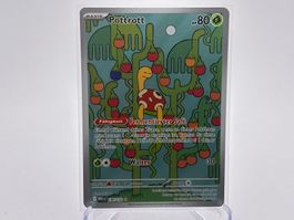 Mega-Entwicklung - Pottrott  (MEG 136) - DE