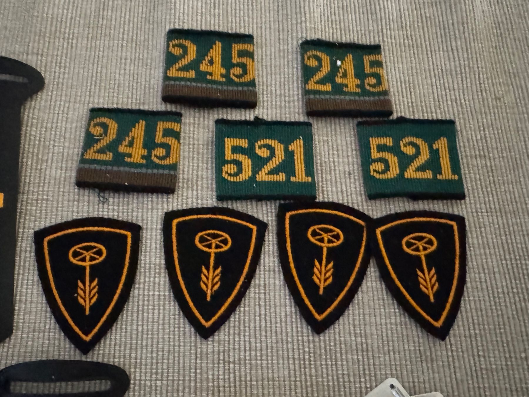 Schweizer Armee Plaketten & Abzeichen: Vintage Abzeichen/Pins, Schweizer Armee – Gebraucht aus Kaiseraugst von Drasa 2