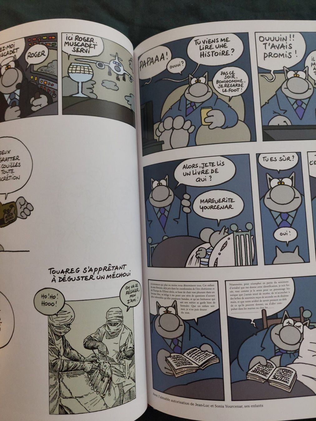 Comics: Le Chat Erectus EO 2012 TBE – Gebraucht aus Genève von Blu_BD 4