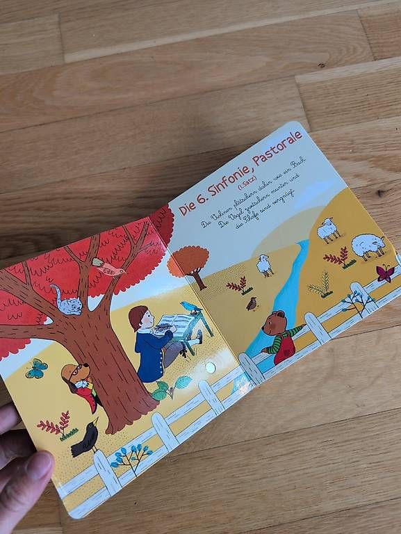 Libri: Kinderbuch mit Musik – Usato da Zürich venduto da Dory12 1