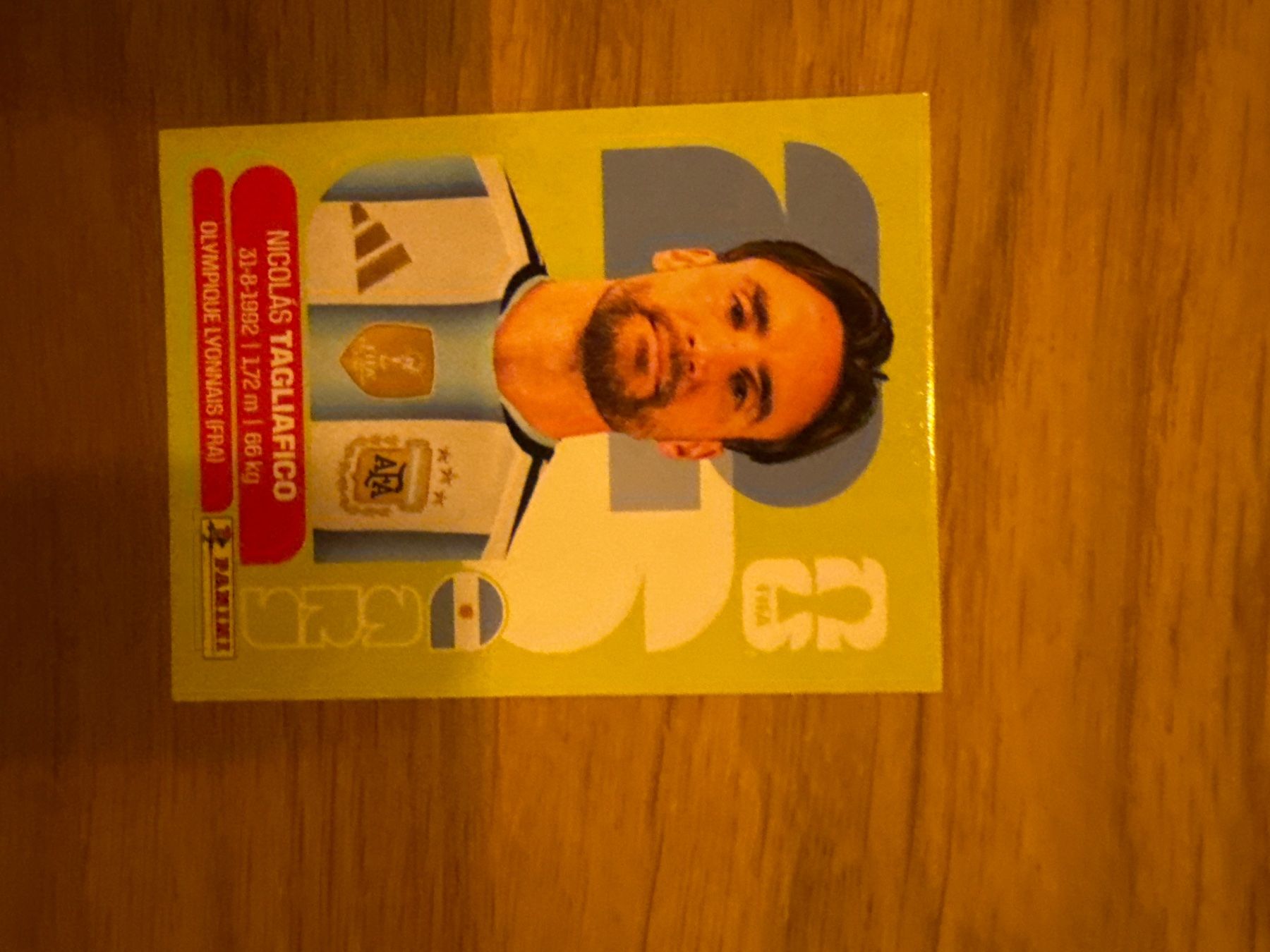 Panini Carte collezionabili: Panini – Usato da Langnau i. E. venduto da Acrjl