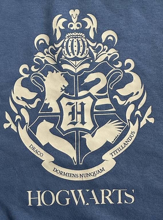Pulls & Sweat-shirts: Hogwarts Pullover – D'occasion à Fislisbach par TamaCh81 1