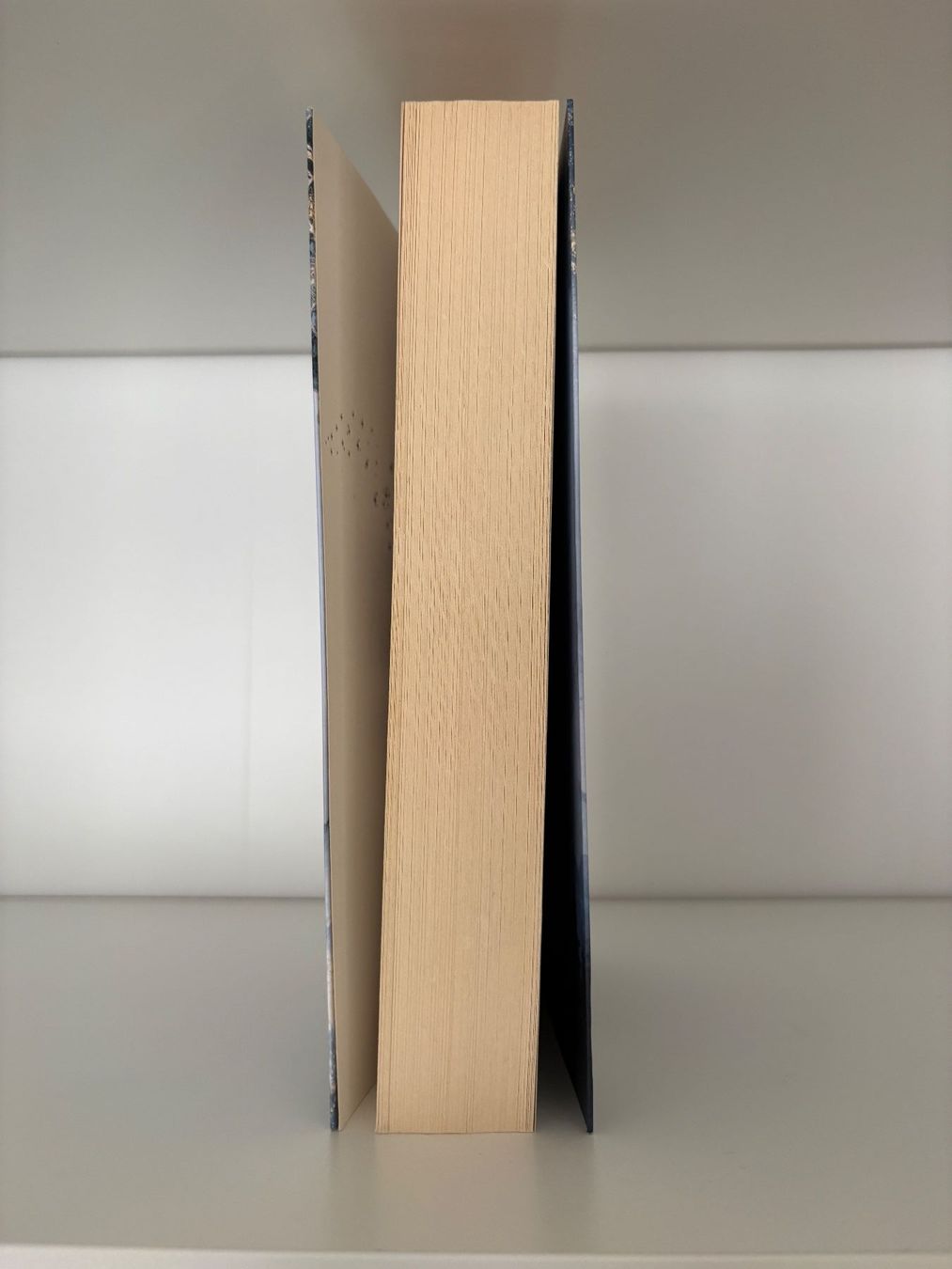 Libri: Ravenhall Academy 1 - Julia Kuhn – Usato da Steffisburg venduto da elsa.catalina 3