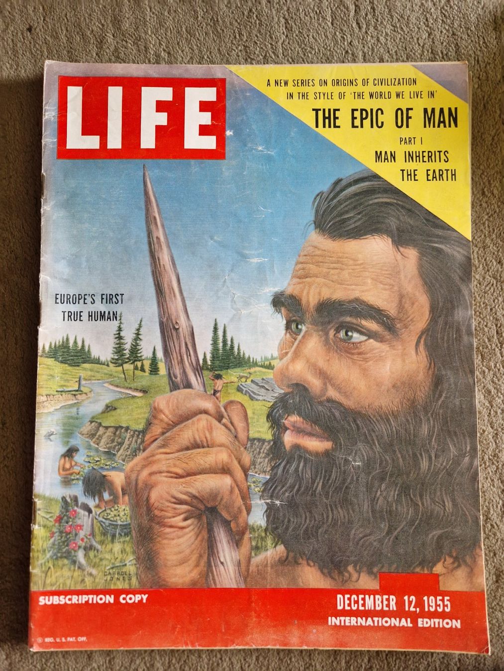 Riviste & Magazine: Life Magazin 1955 – Usato da Mörschwil venduto da lindaswunderkiste 7
