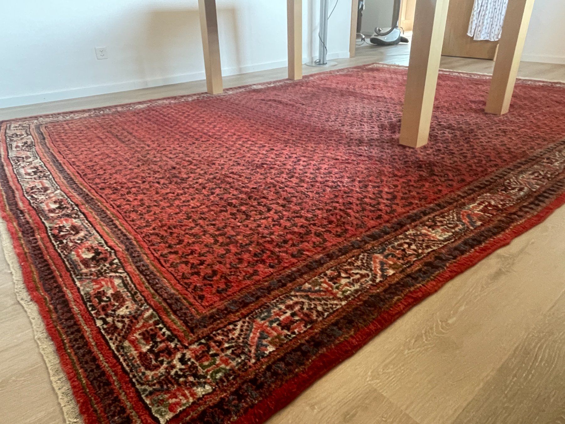 Tappeti: Teppich 246 x 355cm – Usato da Schmerikon venduto da die_8b8m
