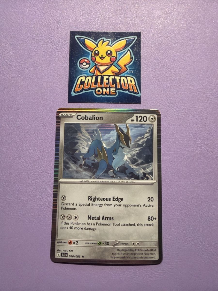 Pokémon Carte collezionabili: Pokemon Cobalion Holo Mega schön – Nuovo (secondo la descrizione) da Lommiswil venduto da CollectorOne