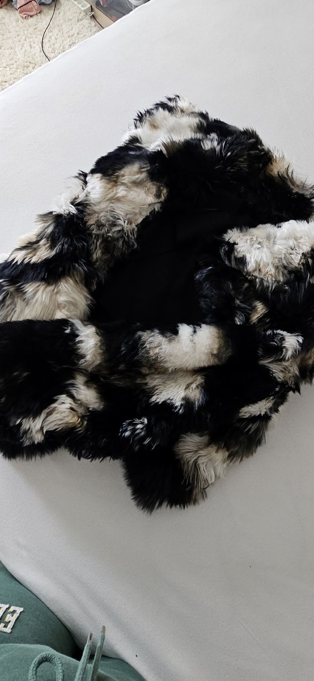 Roberto Cavalli Giacche: Bolero Jacke – Usato da St. Gallen venduto da tan_jnl7 2