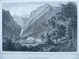 BAD STACHELBERG