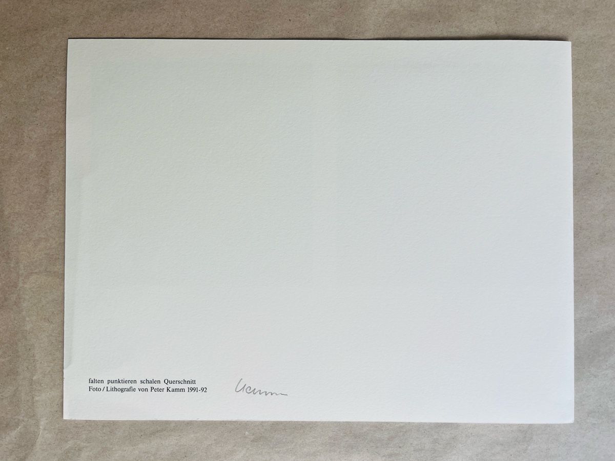 Grafica & Litografie: Lithographie Peter Kamm  – Usato da Zürich venduto da kirkdada 3