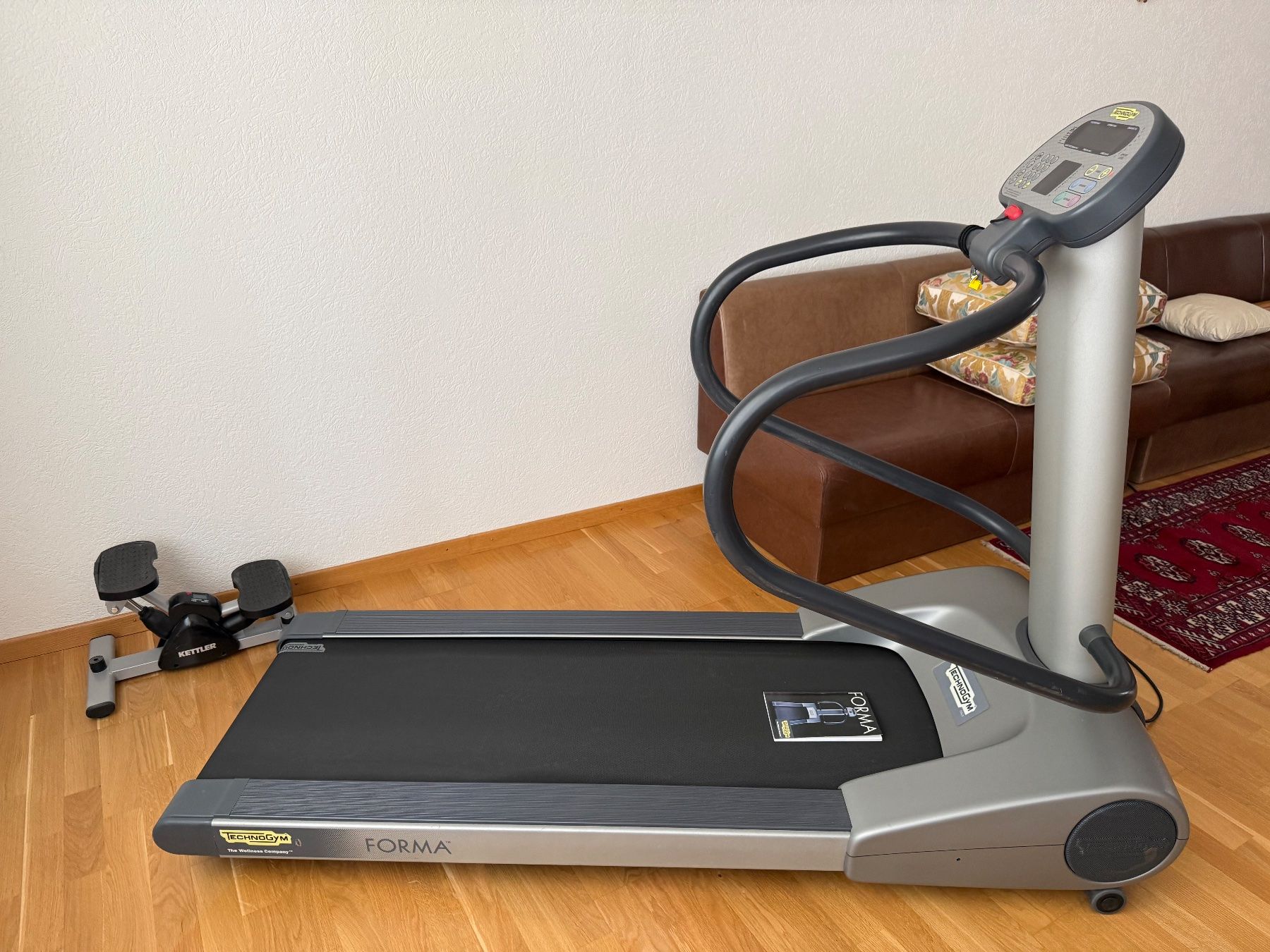 Lade-, Silier- & Transportwagen: Tapis de marche Technogym – Gebraucht aus Aigle von arm_9pw7 2