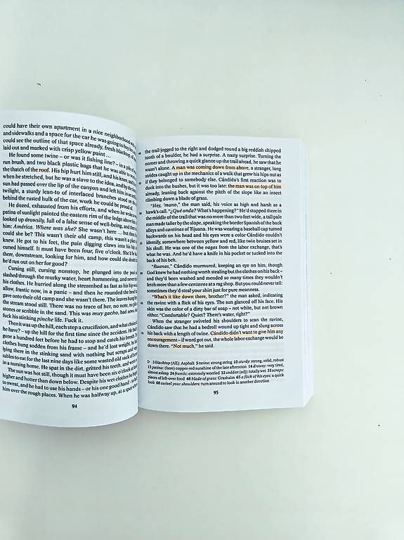 Libri: The Tortilla Curtain Cornelsen Verlag – Usato da Reinach BL venduto da yue_9zlz 1