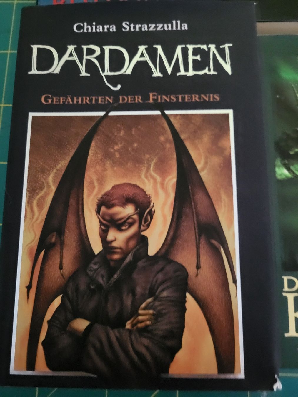 Libri: 8 Fantasybücher – Usato da Möriken AG venduto da Vandine 6