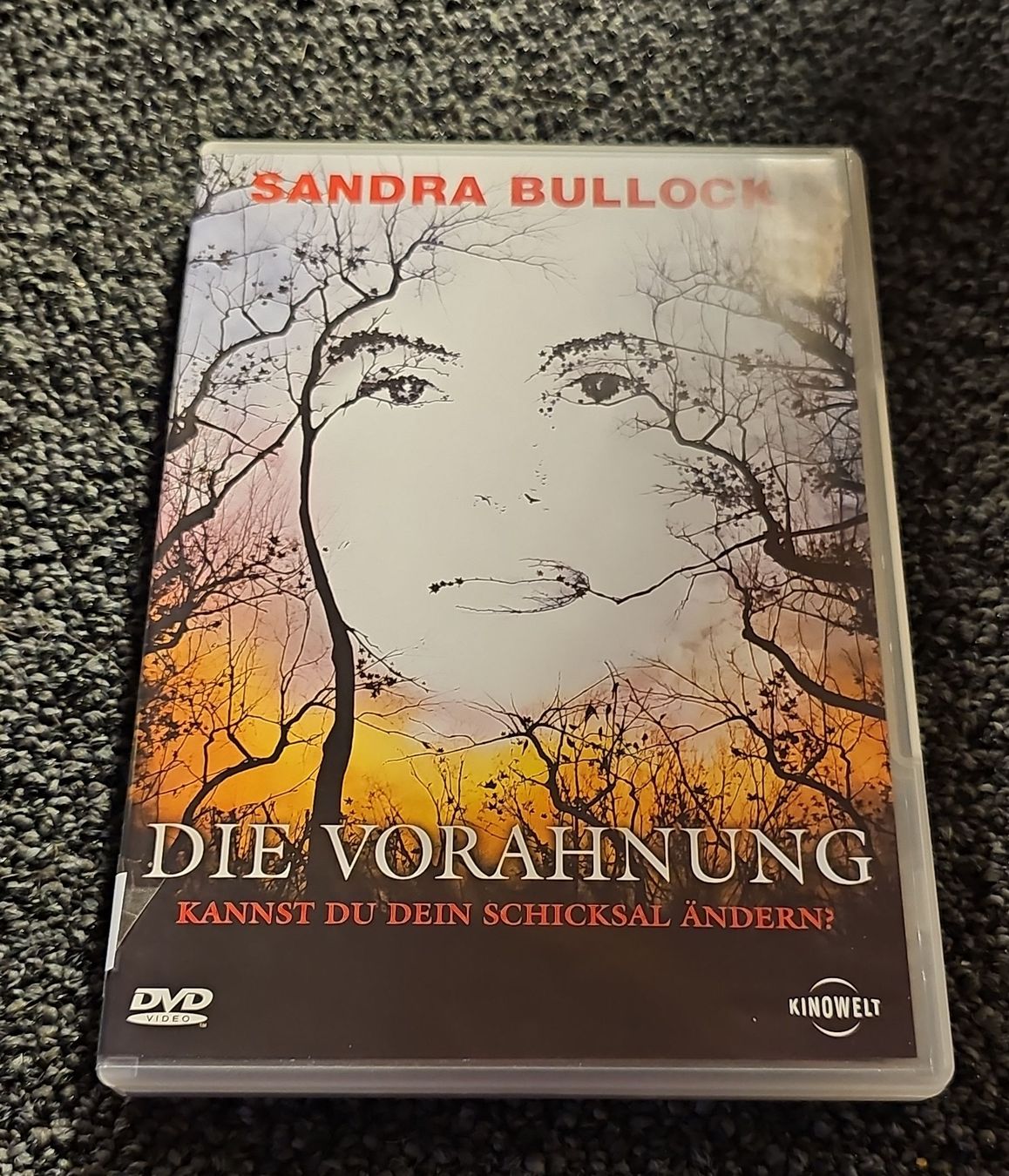 Tutti i DVDs: DVD Die Vorahnung (19171) – Usato da Ruswil venduto da jan_bxl5