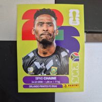 RSA 3 Panini FIFA WM 2026