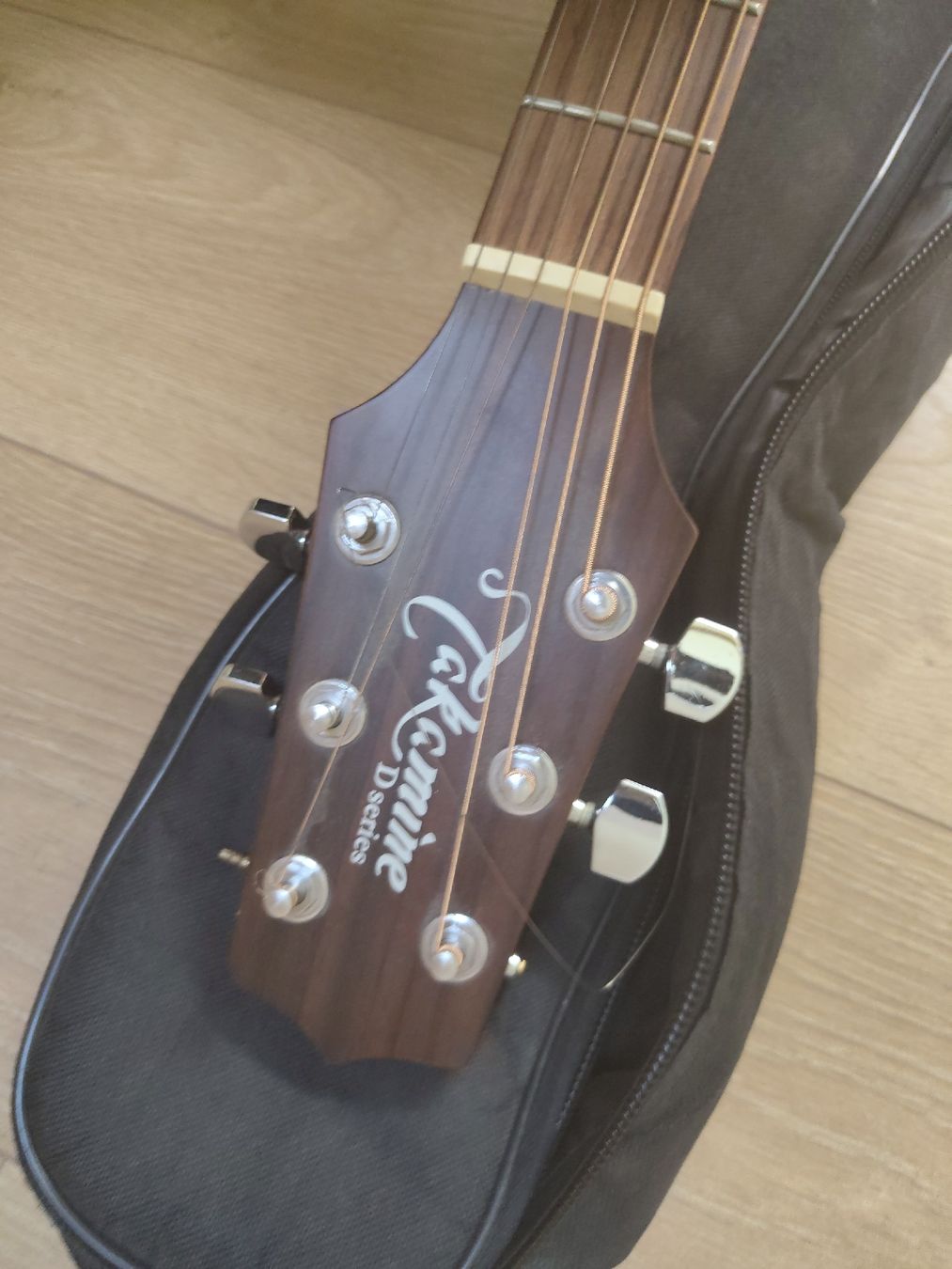 Musikinstrumente: gitarre Takamine D-Series – Gebraucht aus Zürich von Steersoy 2