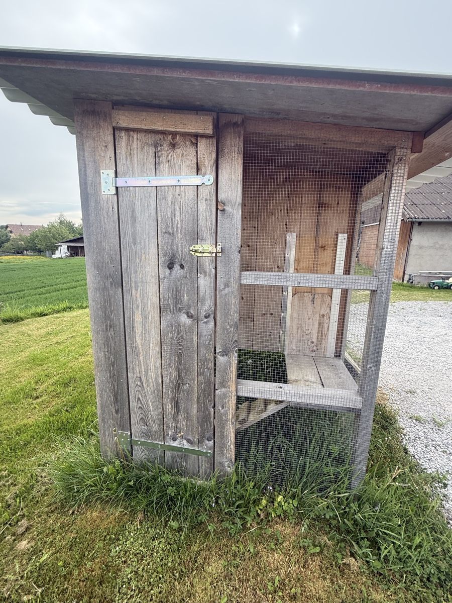Gabbie, trasporto & Sicurezza: Hühnerstall / Hasenstall – Usato da Schönholzerswilen venduto da S.E.E. 1