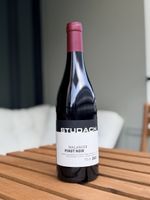 Limited Offer! Studach Pinot Noir 2020 - Best Price in EU