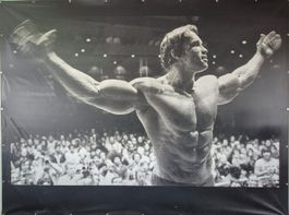 Arnold Schwarzenegger XXL Profi-Poster (3,72x2,80 Meter) ***