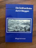 Die Gotthardbahn durch Meggen