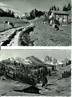 Mürren  BE 2 AK Wintertal + Winteregg 2 x 1950