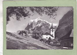 Grindelwald Kirche Wetterhorn Kuh 1959