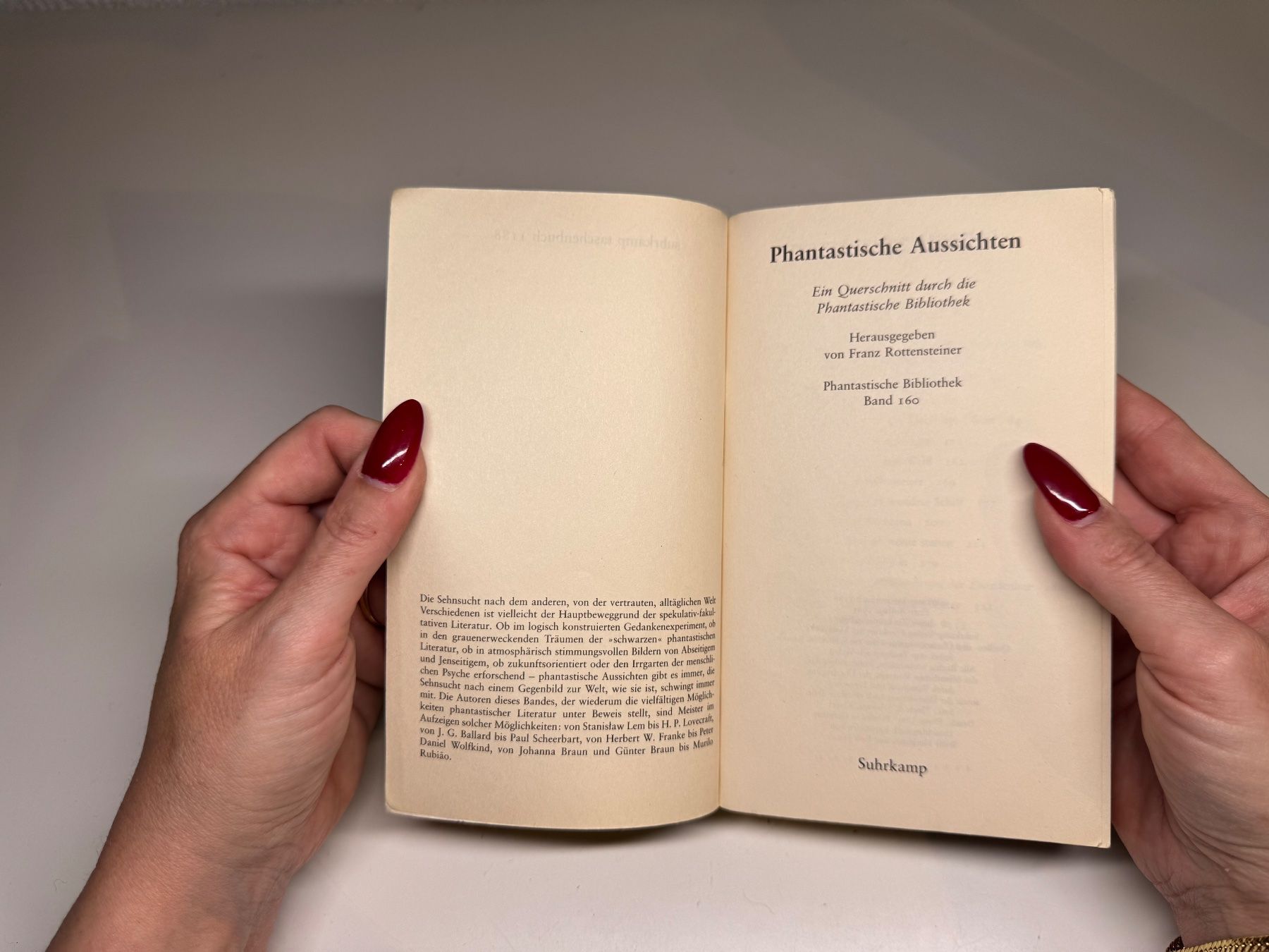 Libri: BUCH: Phantastische Aussichten – Usato da Grosswangen venduto da Kleine.Knoepfe 2