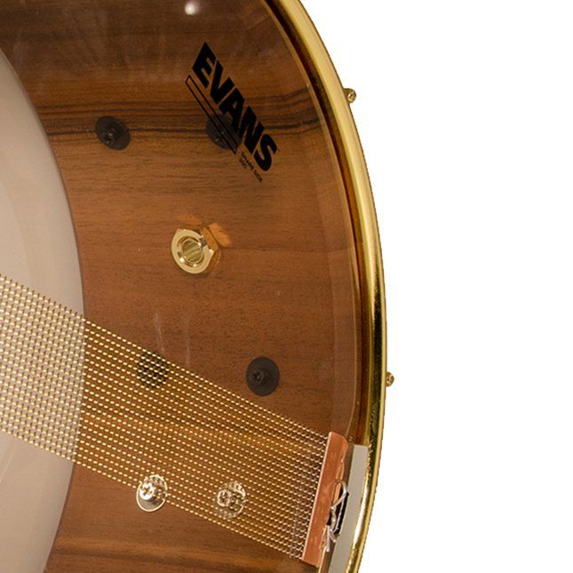Evans Strumenti musicali: Evans 14" Resonant Clear – Nuovo e nell'imballaggio originale da Zufikon venduto da Resonance-Drums 1