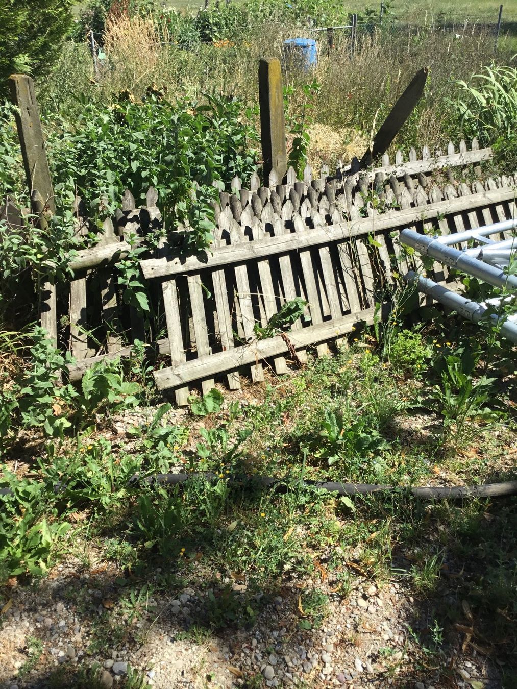 Sichtschutz: Gartenzaun – Gebraucht aus Ottoberg von schenk01