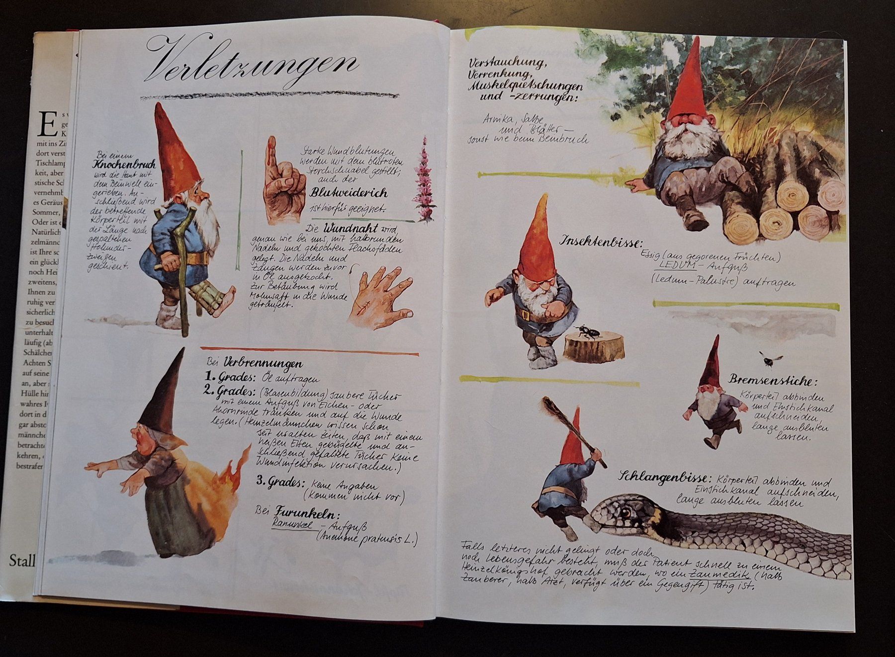 Libri: Das grosse Buch der Heinzelmännchen – Usato da Opfikon venduto da Carslo5 1