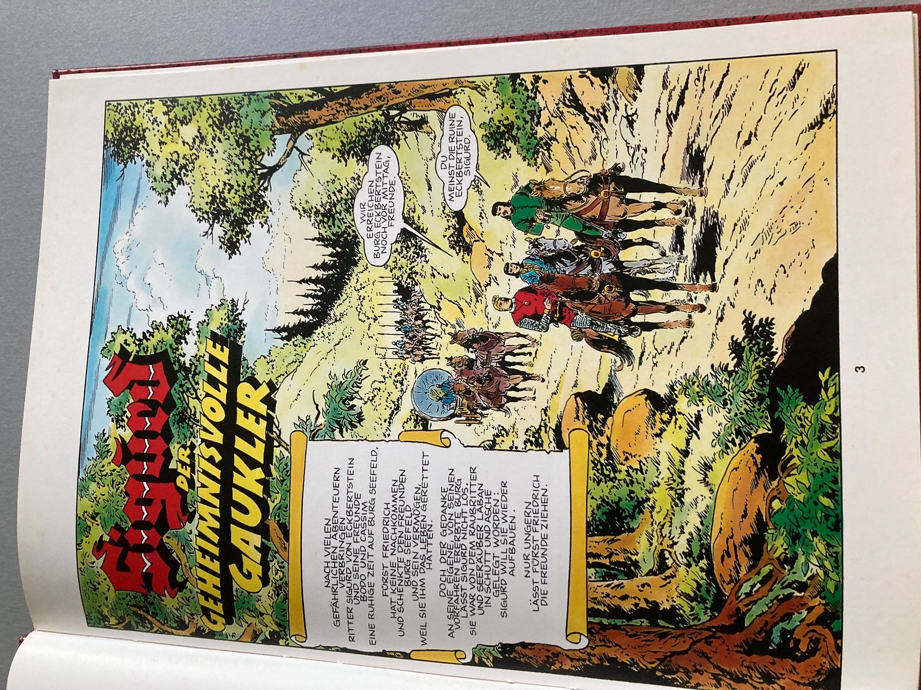 BD: 8 Sigurd Sonderbände – D'occasion à Wald ZH par Liedermacher 8