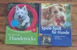 2 Hunde-Bücher: Tricks & Spiele für den Vierbeiner