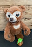 FurReal Cubby Bär