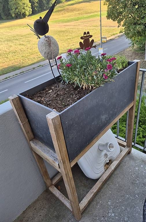 Scaffali: Blumentrog mit Holzgestell – Usato da Lömmenschwil venduto da soka13 1