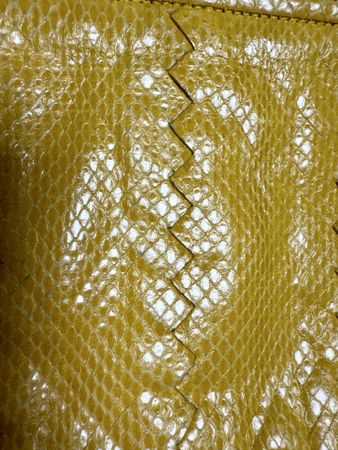 Bottega veneta Python clutch