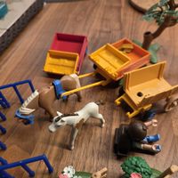 Playmobil Bauernhoftiere