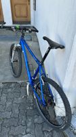 Koba Hardtail Mountain Bike blau