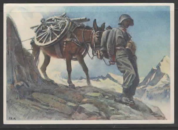 Cartoline postali: Geb.-Art. Radtier   (O – Usato da Ruggell venduto da Masescha