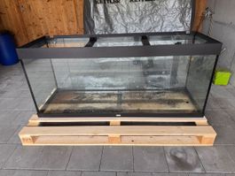 Aquarium als Nagergehege