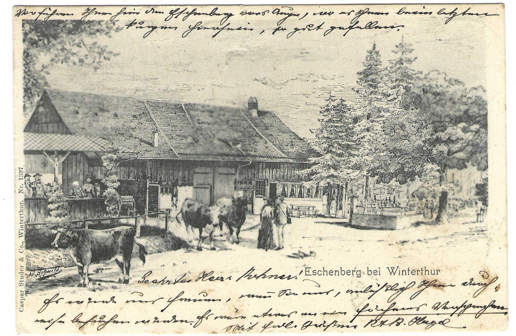 Cartoline postali: Winterthur, Eschenberg – Usato da Wildhaus venduto da Brunphil