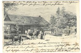 Winterthur, Eschenberg