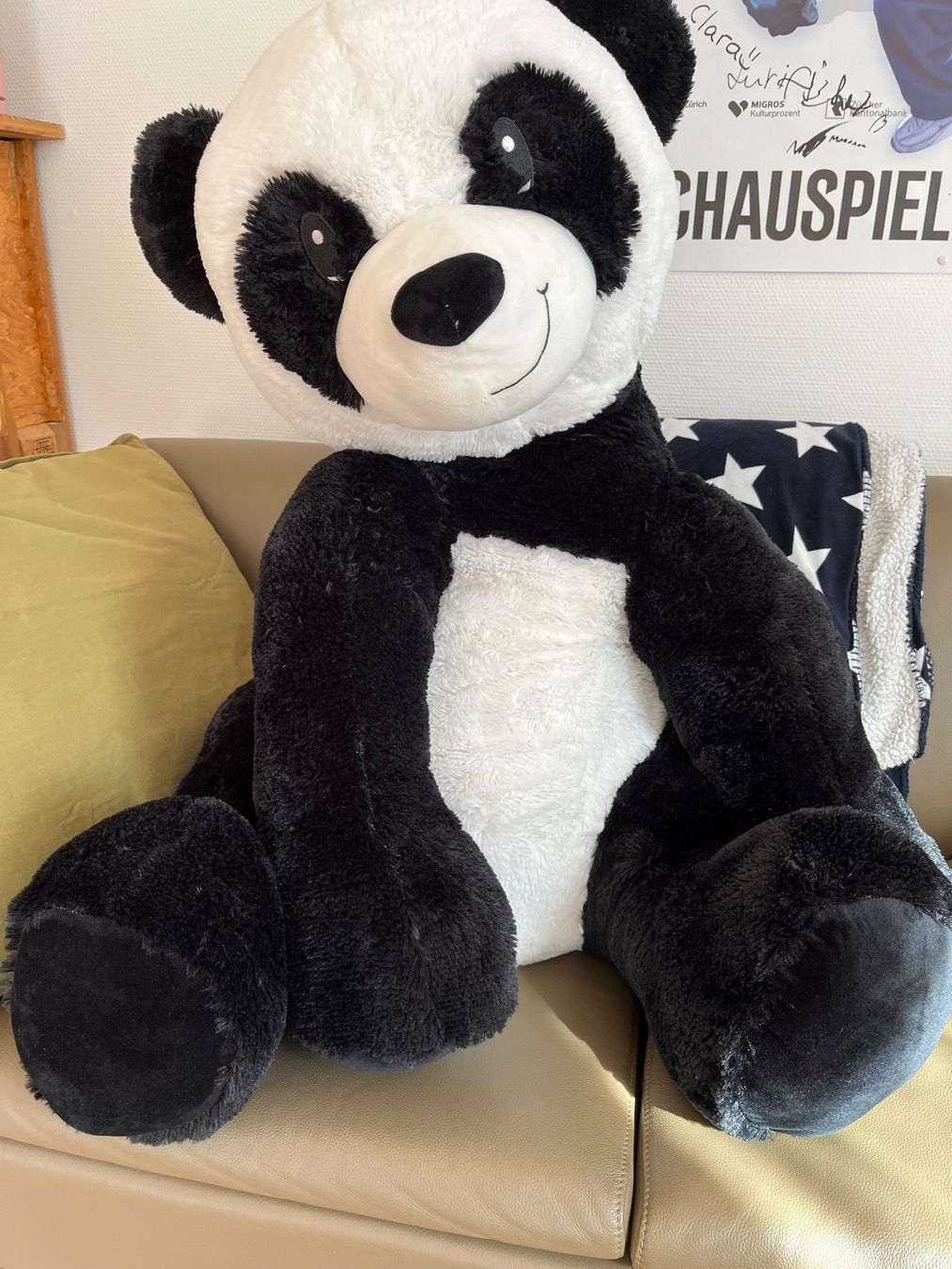 Spielzeuge: Pandabär Plüschtier – Neu (gemäss Beschreibung) aus Waltenschwil von junga
