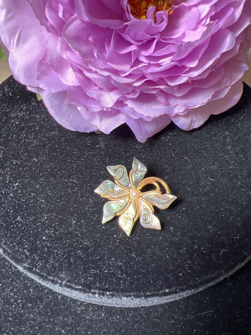 Spille & Fermagli: Paua Vintage Brosche – Usato da Seon venduto da Sunny-Schmuck78