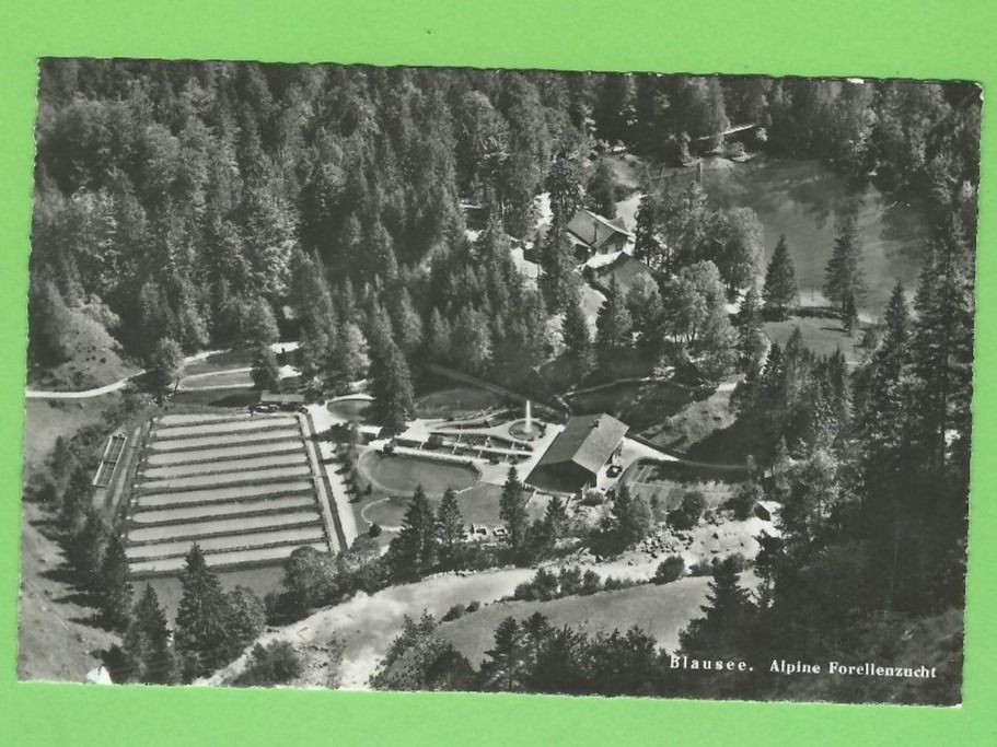 Cartes postales: Blausee, Alpine Forellenzucht – Neuf (Voir description) à Zürich par t24_de