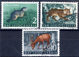 JUGOSLAWIEN 1954 WILDTIERE 3 MARKEN GESTEMPELT - N385