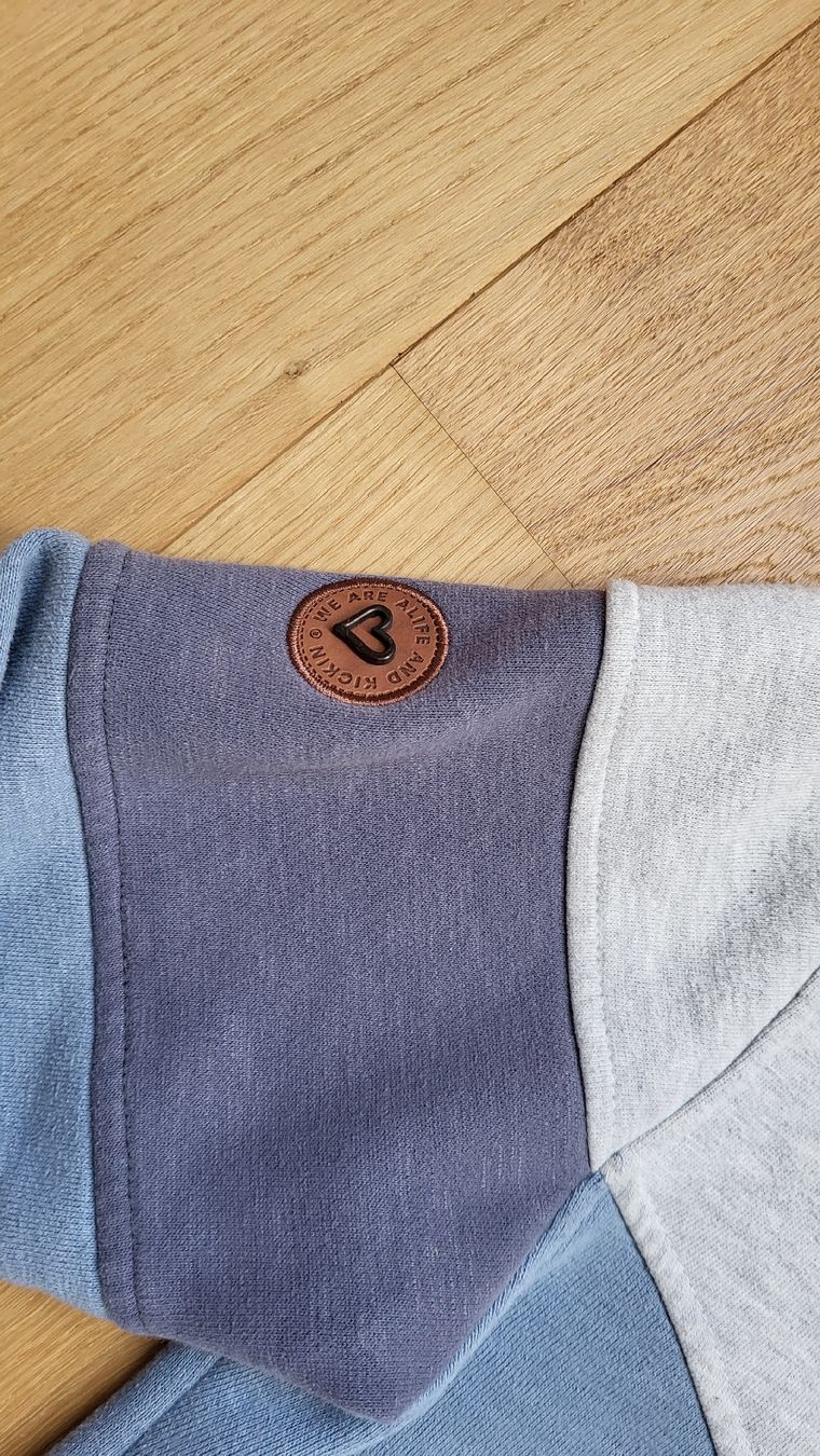 Maglioni & Felpe: Alife & Kickin Sweatshirt Pullover Gr. M blau grau Pulli – Usato da Möhlin venduto da brodieph 5