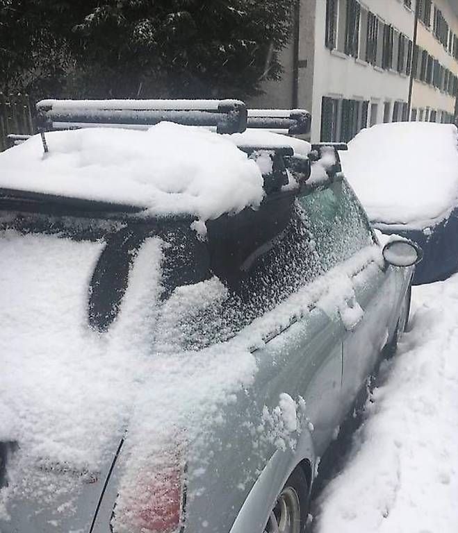 Dachträger: Thule Skiträger für MINI Cooper Mk.1 und Mk.2 – Gebraucht aus Glarus von noiceb 2