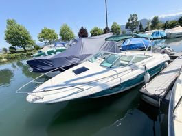 Sea Ray 220 OV Facelift, sehr gepflegt